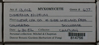 Image Associated With the Occurence